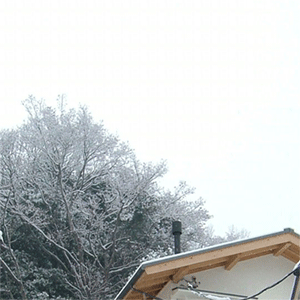 雪の見学会_c0022913_08518.gif