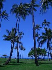 c0055324_154410.jpg