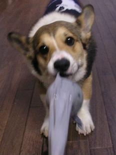 e0071225_21505027.jpg