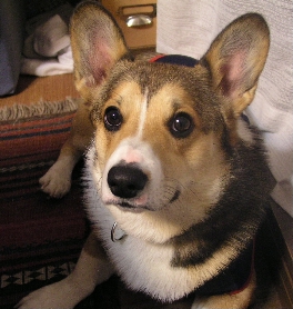 e0071225_2153214.jpg