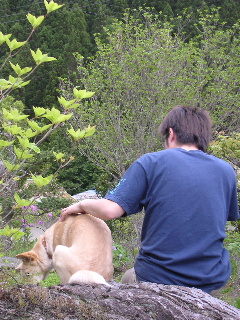 c0065643_2123451.jpg