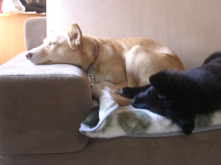 c0065643_21431361.jpg