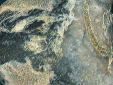 f0041351_082679.jpg