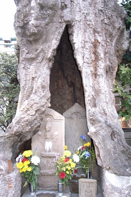 c0050857_222568.jpg