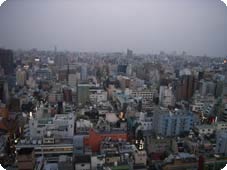 e0038862_2313998.jpg