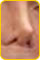 ★クイズーマイケル ジャクソンの鼻はどれか？┐(^-^;)┌_b0013789_12443310.jpg