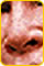 ★クイズーマイケル ジャクソンの鼻はどれか？┐(^-^;)┌_b0013789_12455297.jpg