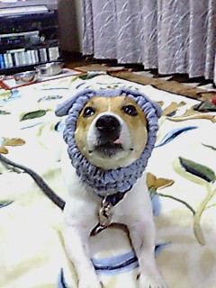 d0050290_22412112.jpg