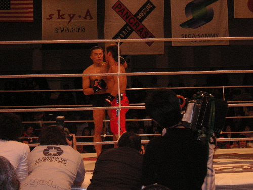パンクラス・真剣殴り場_c0048132_025566.jpg