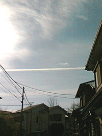 f0038336_8262717.jpg