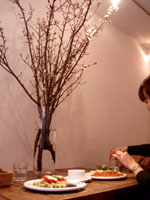 ＊桜の咲く前には・・＊　　2006,1,26　_a0030038_81411.jpg