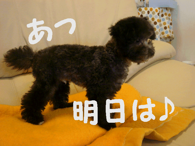 c0065885_23113173.gif
