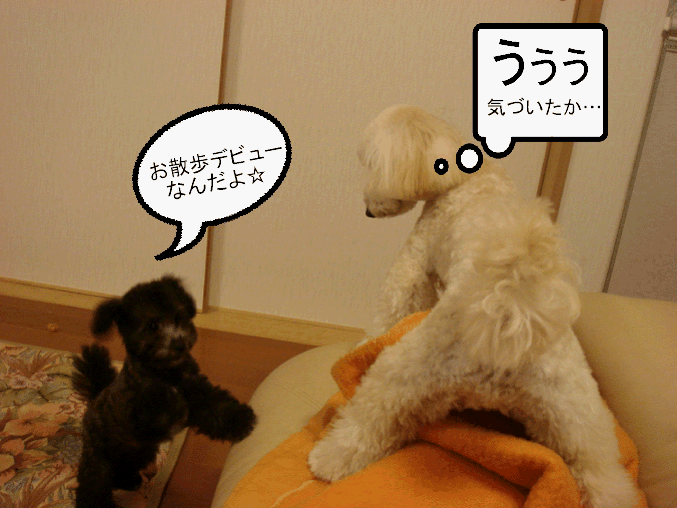 c0065885_23122130.gif