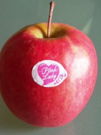 Pink　Lady_c0072096_2235444.jpg