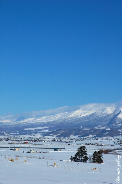 c0073613_15121573.jpg