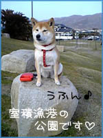 c0060620_23512989.jpg