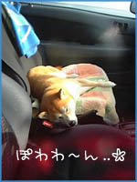 c0060620_23514734.jpg