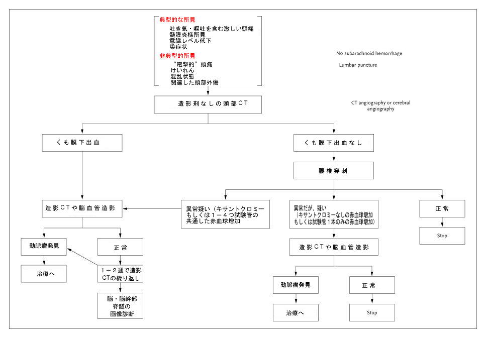 くも膜下出血の診断・・・_a0007242_1419231.jpg