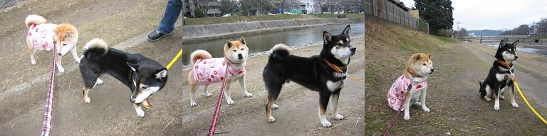 デート♪_c0049950_20594559.jpg