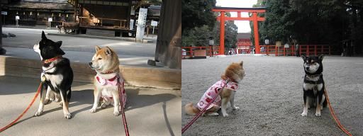 デート♪_c0049950_21114733.jpg