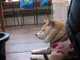 デート♪_c0049950_21345965.jpg