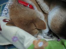 デート♪_c0049950_2150094.jpg