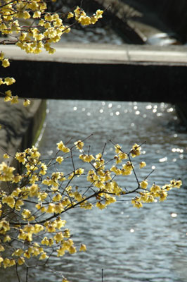 c0050264_0341828.jpg