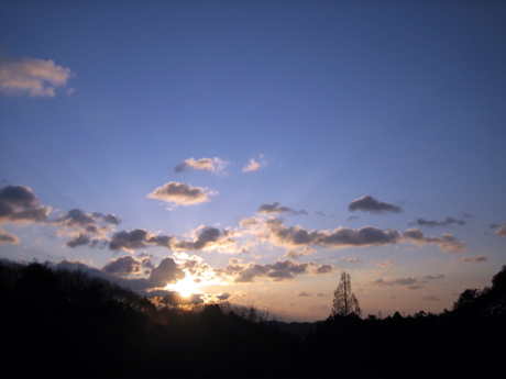 朝焼けの空_c0040488_1646950.jpg