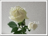 f0054809_189934.gif