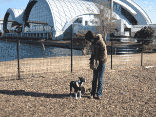 e0080117_323596.gif