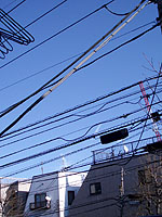 ＊相変わらず過ぎ。＊　　2006,1,29_a0030038_21471761.jpg