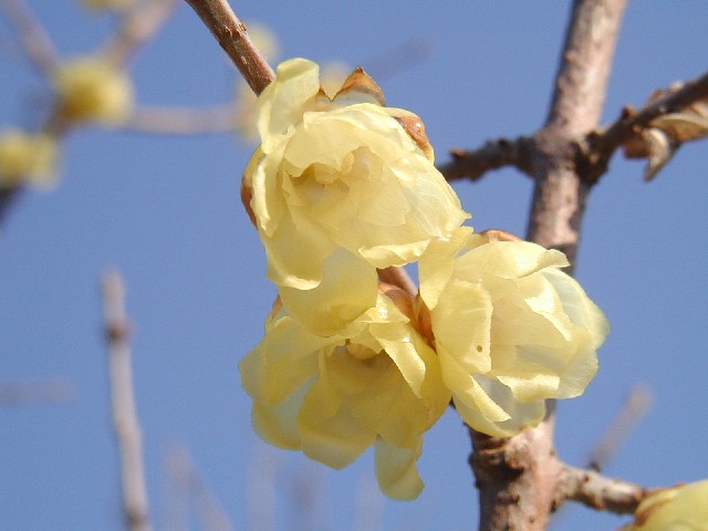 e0083238_2145720.jpg