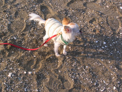 f0031839_17502488.jpg