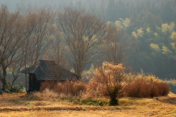 e0009147_21607.jpg