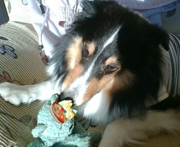 f0046854_2010797.jpg