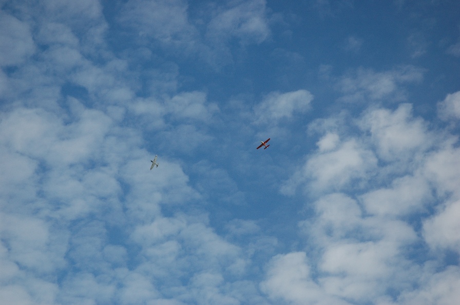 c0055857_8445.jpg