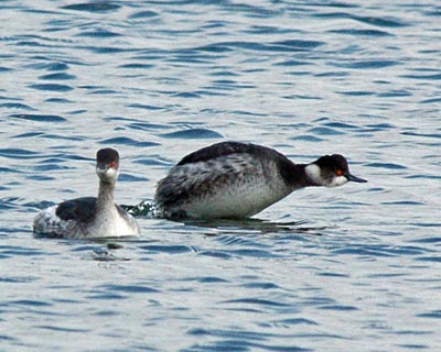 e0035757_0105341.jpg
