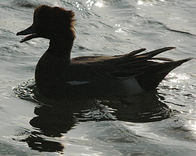 e0035757_0181516.jpg