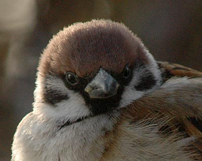 e0035757_0243373.jpg