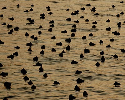 e0035757_0341076.jpg
