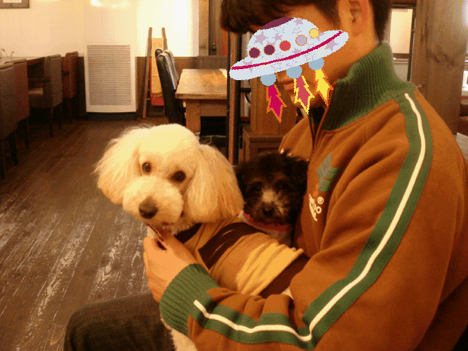 c0065885_12221995.gif