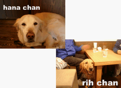 c0065885_1223669.gif