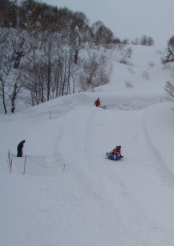 d0050007_16595958.jpg