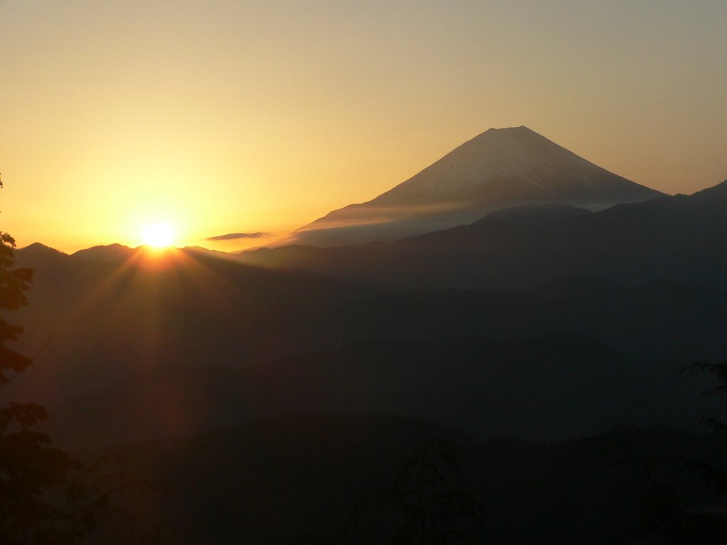 富士山 日の出 ｋａｋｕの鳥との出会い と 行ってきました見てきました