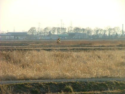 d0035420_0848.jpg