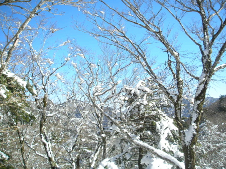 a0048823_11184090.jpg