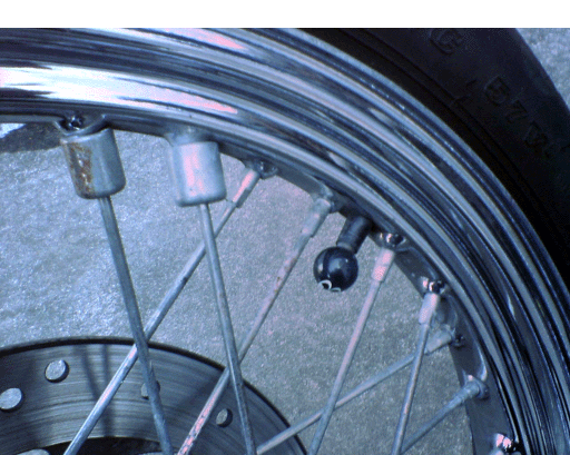 c0006028_10344053.gif