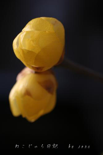 e0027083_13284155.jpg
