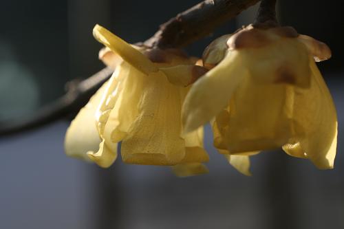 e0027083_13412253.jpg
