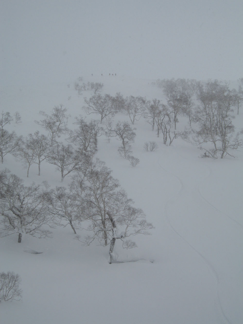 北海道も最終日_f0006404_10344513.jpg